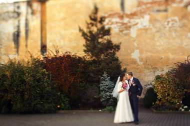 Onların düğün günü yürüyüşe üzerinde yeni evliler