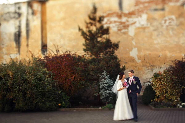 Nowożeńcy na spacer w dniu ślubu — Zdjęcie stockowe