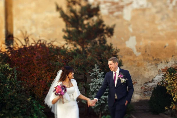 Onların düğün günü yürüyüşe üzerinde yeni evliler