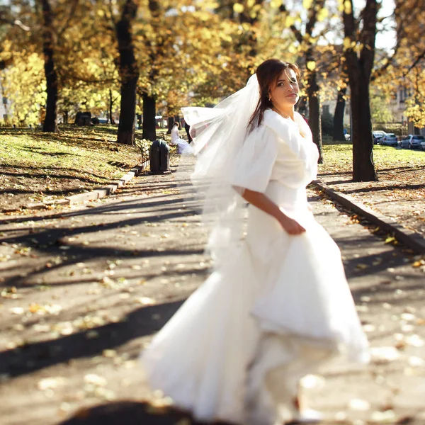 Novia alegre girando en el parque de otoño —  Fotos de Stock