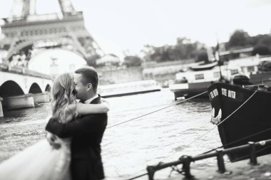 Lüks Düğün çifti önce river Seine ve Eyfel Kulesi Paris herhangi bir yerinde teşkil etmektedir