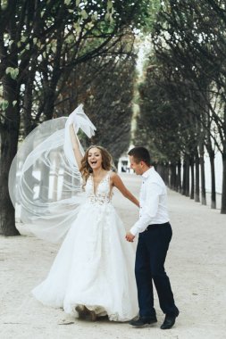Lüks şık elbiseler romantik Paris sokaklarında poz çarpıcı yeni evliler bak
