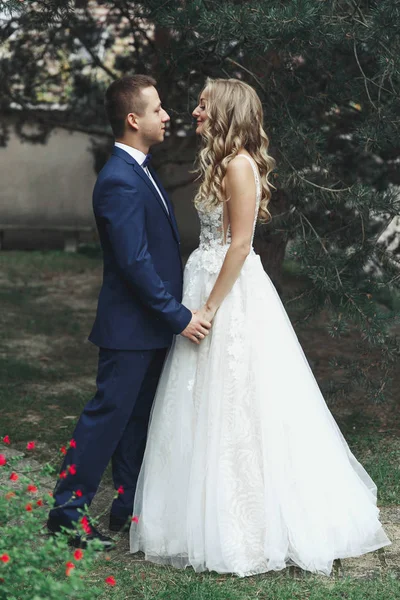 Meeting of bride and groom in a summer park