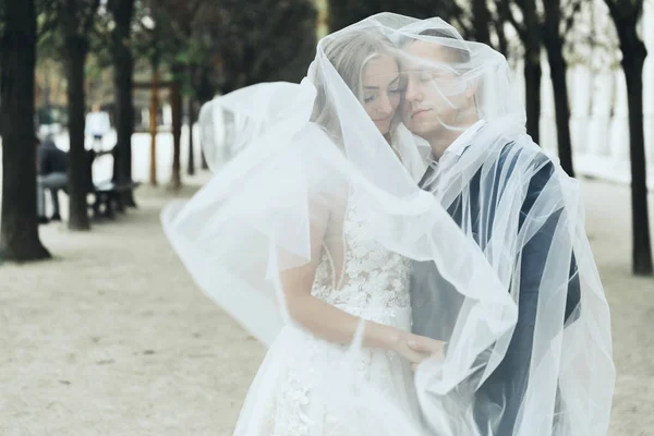 Pareja Boda Inclina Uno Otro Tierno Bajo Velo Algún Lugar —  Fotos de Stock