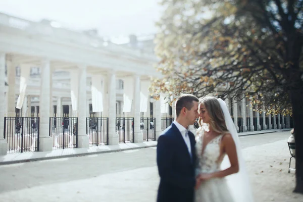 Impressionantes Recém Casados Olhar Luxo Posando Vestidos Elegantes Nas Ruas — Fotografia de Stock