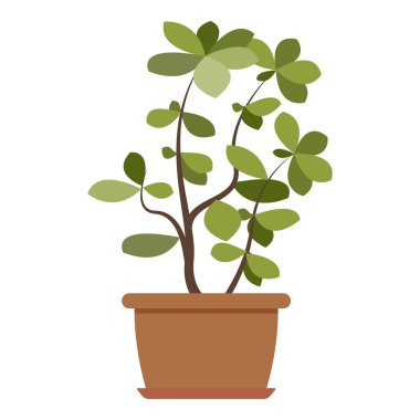 Ev bitki simgesi, düz stil