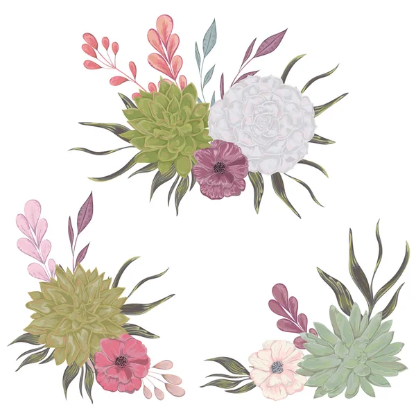 Collezione decorativi elementi di design floreale per inviti di nozze e biglietti di compleanno. Succulente, fiori e foglie. Elementi isolati. Illustrazione vettoriale disegnata a mano vintage in stile acquerello . — Vettoriale Stock