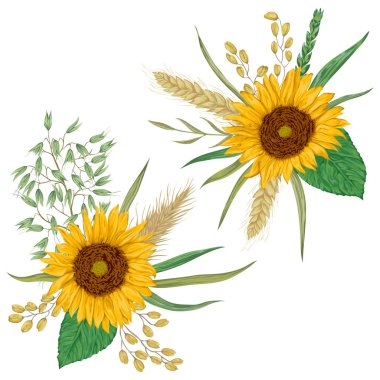 Ayçiçeği, arpa, buğday, çavdar, pirinç ve yulaf. Koleksiyon dekoratif çiçek tasarım öğeleri. İzole öğeleri. Tahıllar ve çiçek buketi. Suluboya tarzında Vintage vektör çizim.