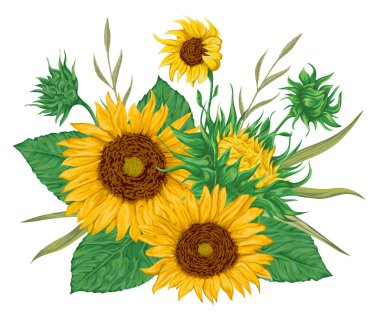 Ayçiçeği ayarlayın. Düğün davetiyeleri ve doğum günü kartları için koleksiyon dekoratif çiçek tasarım öğeleri. İzole öğeleri. Suluboya tarzında vintage elle çizilmiş vektör çizim.