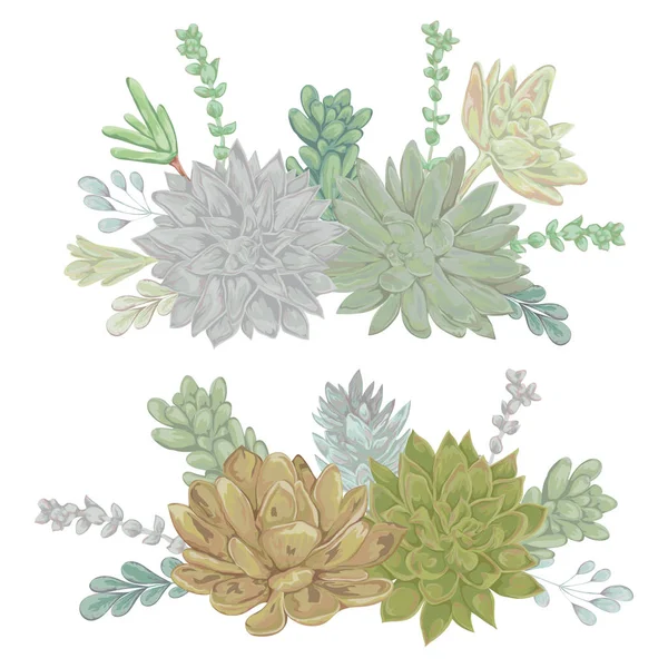 Suculentas preparadas. Coleção elementos de design floral decorativo para convites de casamento e cartões de aniversário. Elementos isolados. Vintage mão desenhada ilustração vetorial em estilo aquarela . — Vetor de Stock