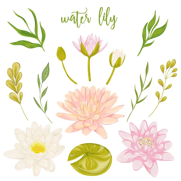 Water lily set. Collection floral decorative design elements for wedding invitations and birthday cards. Flowers, leaves and buds. Vintage hand drawn vector illustration in watercolor style. — Stock Vector