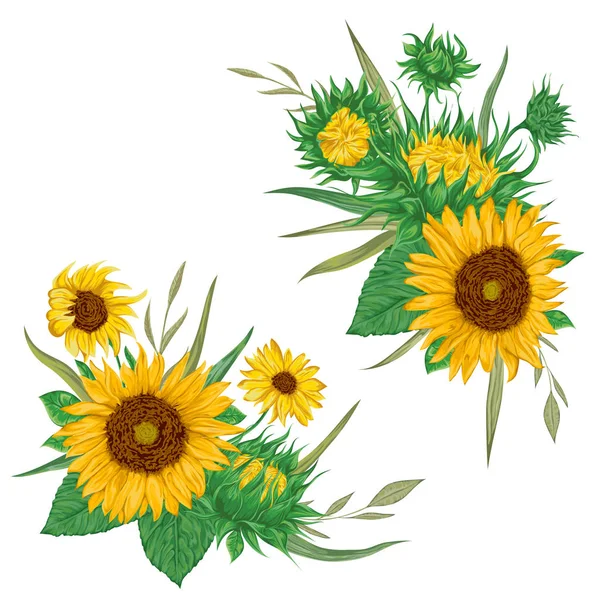 Set girasoli. Collezione decorativi elementi di design floreale per inviti di nozze e biglietti di compleanno. Elementi isolati. Illustrazione vettoriale disegnata a mano vintage in stile acquerello . — Vettoriale Stock