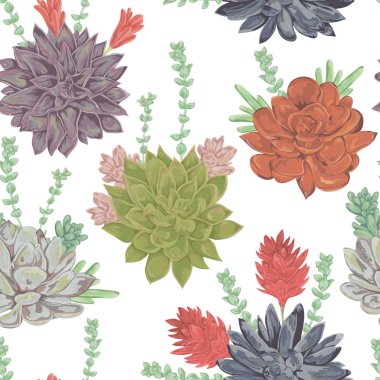 Succulents ile Seamless Modeli ayarlayın. Düğün davetiyeleri ve doğum günü kartları için koleksiyon dekoratif çiçek tasarım öğeleri. Suluboya tarzında vintage elle çizilmiş vektör çizim.