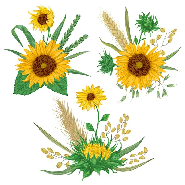 Tournesol, orge, blé, seigle, riz et avoine. Collection éléments décoratifs de design floral. Eléments isolés. Bouquets de céréales et de fleurs. Illustration vectorielle vintage dans un style aquarelle . — Image vectorielle