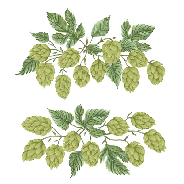 Bouquets with hops. Floral composition with hop cones, leaves and branches. Isolated elements. Vintage hand drawn illustration in watercolor style. — Stock Vector