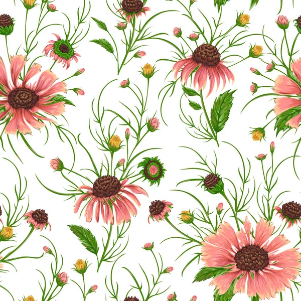 Modello senza cuciture con fiori di camomilla. Fondo floreale rustico. Illustrazione botanica vettoriale vintage in stile acquerello . — Vettoriale Stock