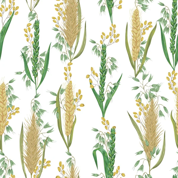 Seamless mönster med spannmål. Korn, vete, råg, ris och havre. Rustika blommig bakgrund. Vintage vektor botaniska illustration i akvarell stil. — Stock vektor