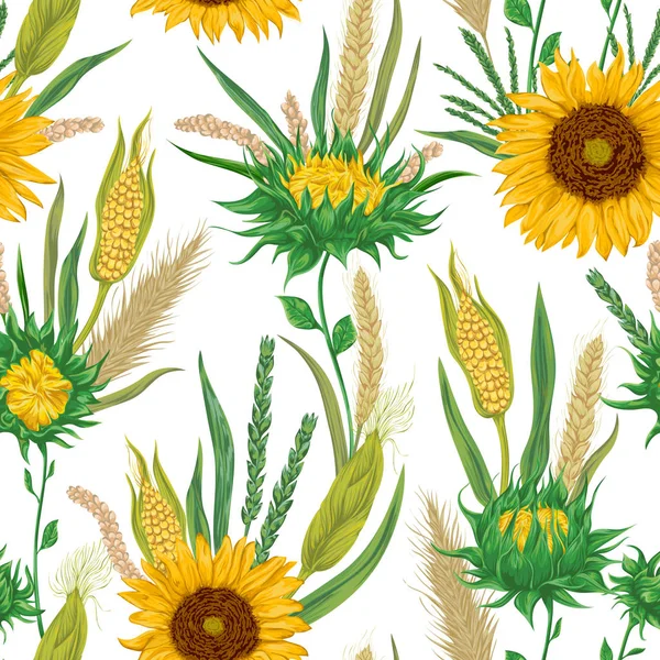 Modèle sans couture avec des céréales et des tournesols. Orge, blé, seigle, maïs et avoine. Fond floral rustique. Illustration botanique vectorielle vintage dans un style aquarelle . — Image vectorielle