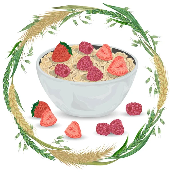 Porridge di cereali in ciotola con lampone, fragola e ghirlanda con cereali. Orzo, frumento, segale e avena. Colazione sana. Elementi isolati. Illustrazione del vettore disegnato a mano — Vettoriale Stock