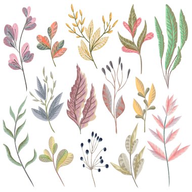 Fantezi bitkiler ve yaprakları ile ayarlayın. Davetiye, düğün veya tebrik kartları için dekoratif çiçek tasarım öğeleri. El vektör çizim suluboya tarzında çekilmiş.