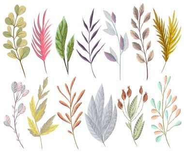Fantezi bitkiler ve yaprakları ile ayarlayın. Davetiye, düğün veya tebrik kartları için dekoratif çiçek tasarım öğeleri. El vektör çizim suluboya tarzında çekilmiş.