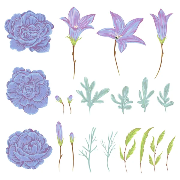 Bluebell, geranium flowers, sagebrush leaves and buds set. Rustic floral design elements for wedding invitations and birthday cards. Vintage vector illustration in watercolor style. — Stock Vector
