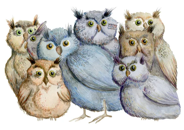Owls. Hand drawn watercolor illustration — Stock Photo, Image