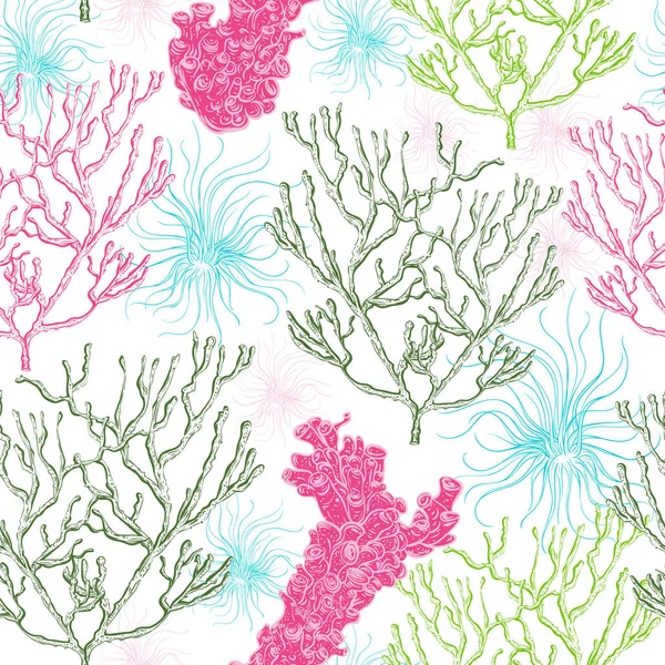 海洋植物、 珊瑚和海藻的集合。用手绘制海洋植物区系的老式无缝模式。线条艺术样式的矢量图. — 图库矢量图片