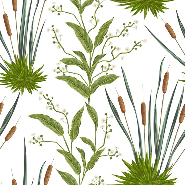 Padrão sem costura com bulrush e plantas do pântano. Vintage mão desenhada ilustração vetorial em estilo aquarela — Vetor de Stock