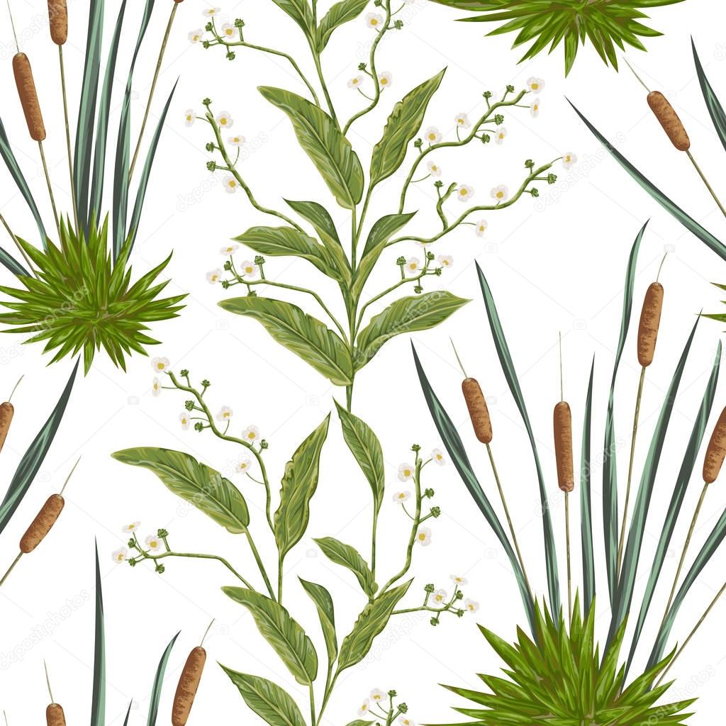 Seamless pattern with bulrush and swamp plants. Vintage hand drawn vector illustration in watercolor style