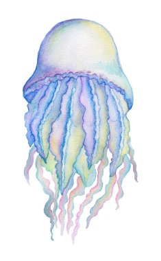 Beyaz arka plan üzerinde izole suluboya denizanası. Elle çizilmiş illüstrasyon