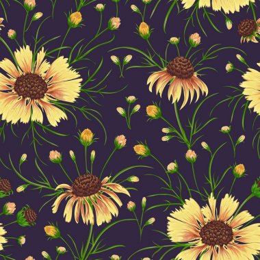 Papatya çiçeği ile Seamless modeli. Rustik çiçek arka plan. Suluboya tarzında Vintage vektör botanik çizim.