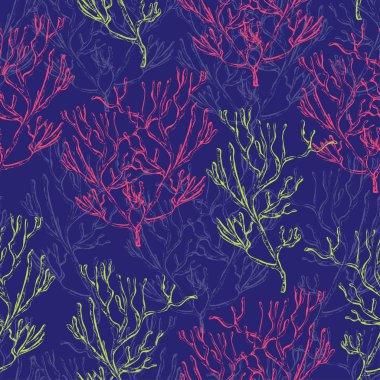 Deniz bitki, mercan ve deniz yosunu ile Seamless modeli. Vintage el çekilmiş deniz flora. Vektör çizim satırı sanat tarzı.