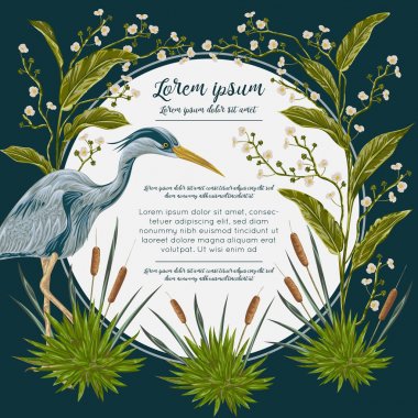 Balıkçıl kuş ve ve bataklık bitki. Bataklık flora ve fauna. Tasarım afiş, poster, kart, davet ve karalama defteri. Botanik vektör çizim suluboya tarzında