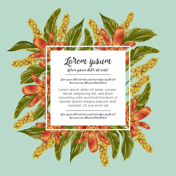 Floral border with tropical flowers,berries and leaves. Design for banner, poster, card, invitation and scrapbook. Botanical vector illustration in watercolor style — Stock Vector