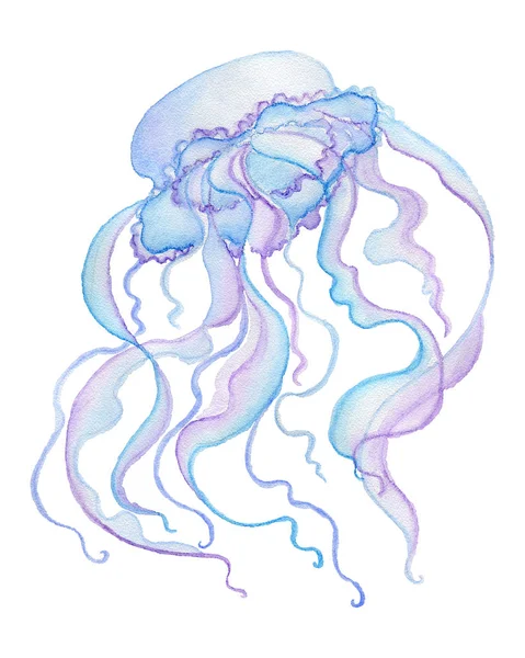 Akvarell medúza elszigetelt fehér background. Kézzel rajzolt ábra — Stock Fotó