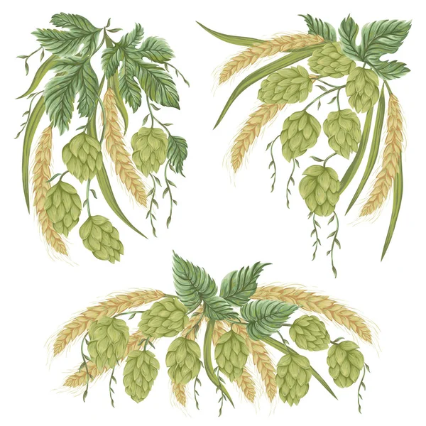 Grinalda com cones de lúpulo, folhas e ramos e trigo. Elementos isolados. Vintage mão desenhada ilustração em estilo aquarela . —  Vetores de Stock