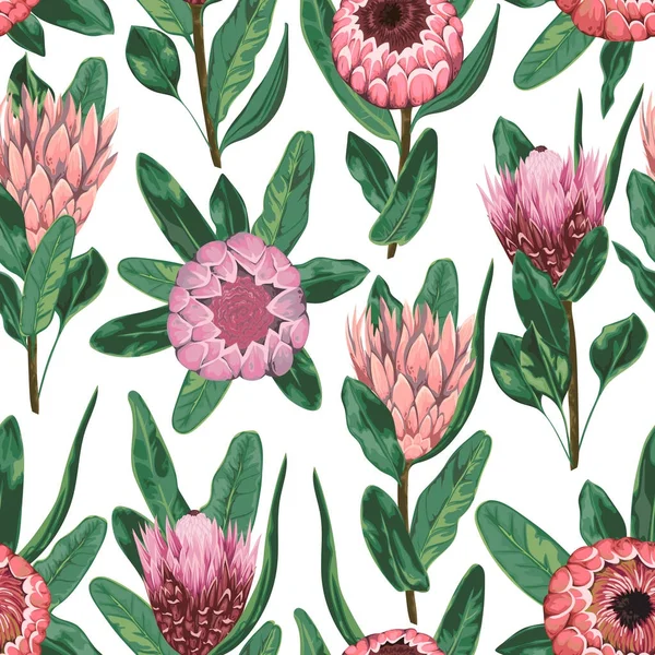 Naadloze patroon met protea bloemen, knoppen en bladeren. Decoratieve vakantie florale achtergrond. Vintage vectorillustratie in aquarel stijl — Stockvector