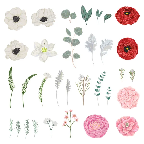 Coleção Flores Folhas Ramos Elementos Florais Vintage Objetos Isolados Ilustração — Vetor de Stock