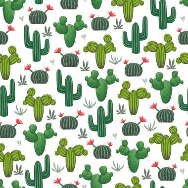 Kaktüsler, succulents ve çiçek öğeleri ile Seamless modeli. Suluboya tarzında Vintage vektör botanik çizim.