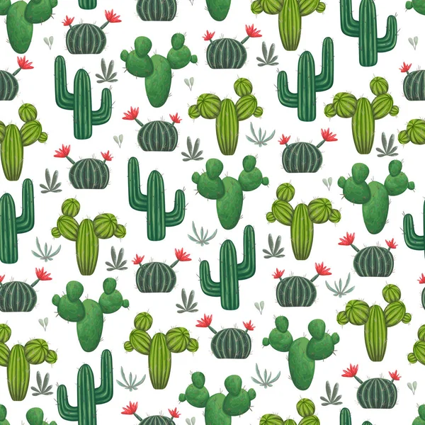 Motif Sans Couture Avec Cactus Succulents Éléments Floraux Illustration Botanique — Image vectorielle