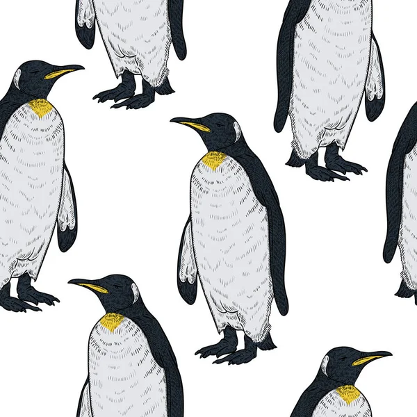 Seamless Mönster Med Pingviner Vit Bakgrund Vintage Vektorillustration — Stock vektor
