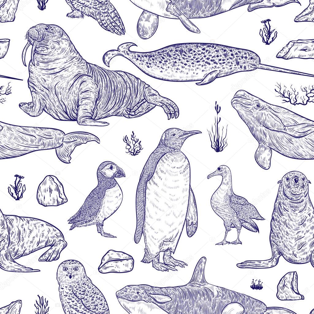 Seamless pattern with arctic animals. Narwhal, snowy owl, albatross, beluga whale, penguin, atlantic puffin, killer whale, walrus, seal and tundra plants and icebergs. Vector illustration