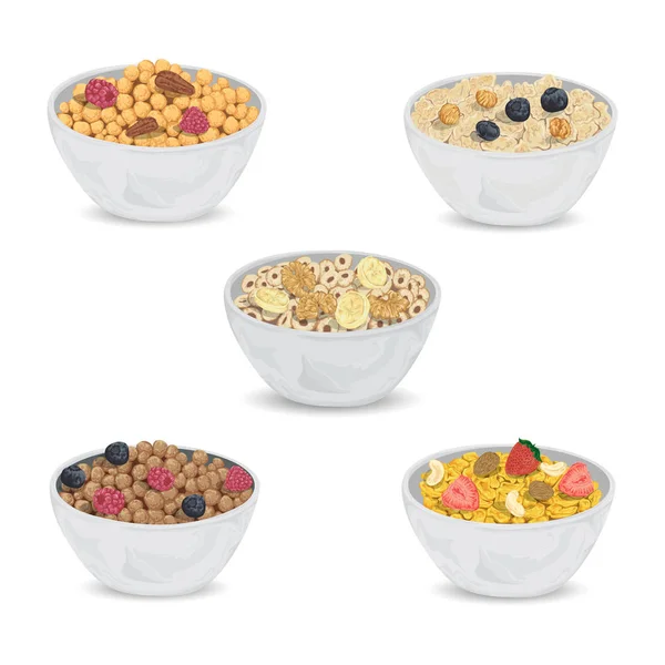 Collection Cereal Porridge Bowl Fruits Nuts Healthy Breakfast Isolated Elements — Stock Vector