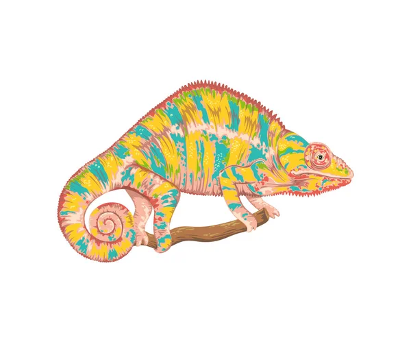 Caméléon Isolé Sur Fond Blanc Illustration Vectorielle Dans Style Aquarelle — Image vectorielle