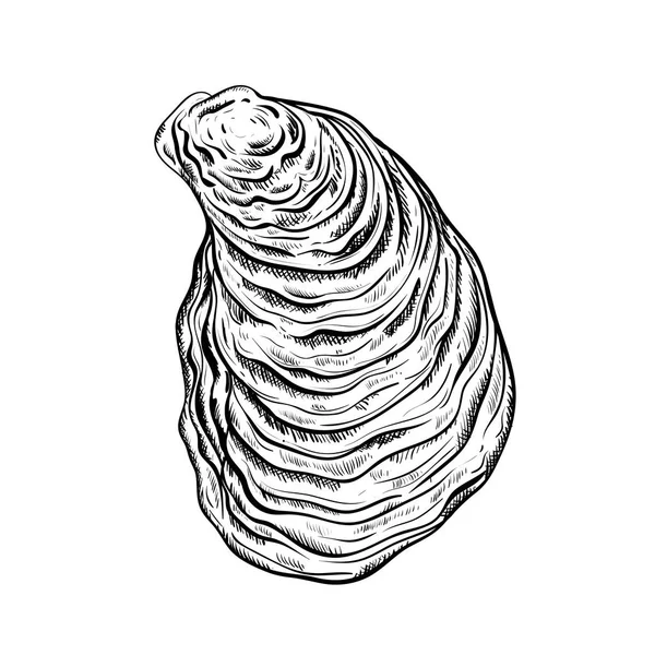 Coquille Huître Style Gravé Isolé Sur Fond Blanc Illustration Vectorielle — Image vectorielle