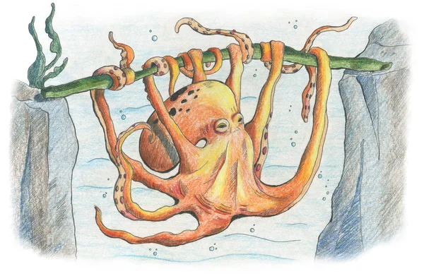 Octopus Twijnstok Met Zijn Tentakels Onderwaterwereld Handgetekende Illustratie — Stockfoto