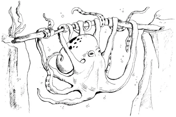 Gurita Terisolasi Latar Belakang Putih Ilustrasi Vektor - Stok Vektor