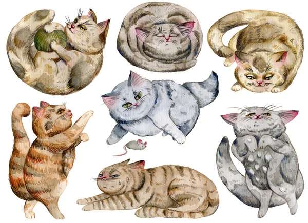 Ensemble Chats Aquarelle Personnages Drôles Mignons Émotions Sentiments Chat Objets — Photo