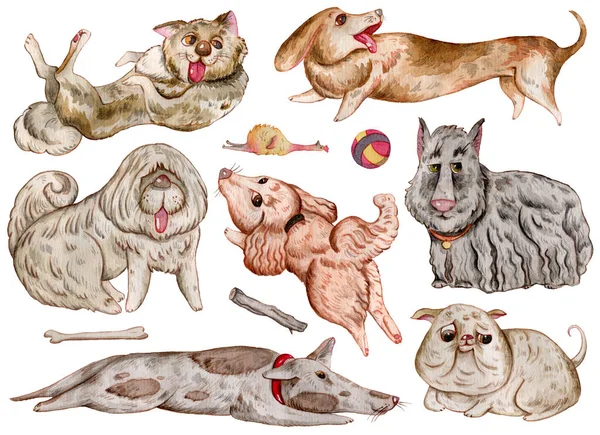 Υδατογραφία Σκυλιά Και Συλλογή Στοιχείων Σχεδιασμού Χαριτωμένοι Αστείοι Χαρακτήρες Συναισθήματα — Φωτογραφία Αρχείου
